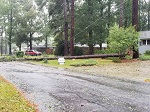 Storm damage fallen trees